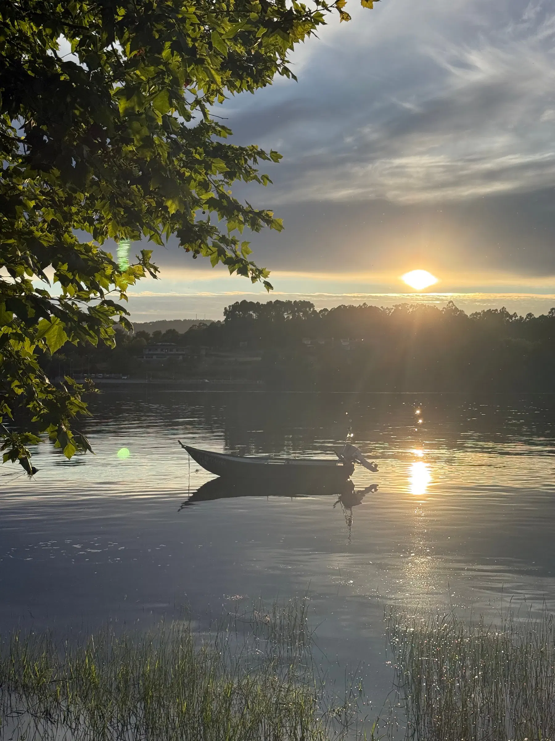Um barco parado no rio Minho ao pôr do sol, visto entre a folhagem da margem.